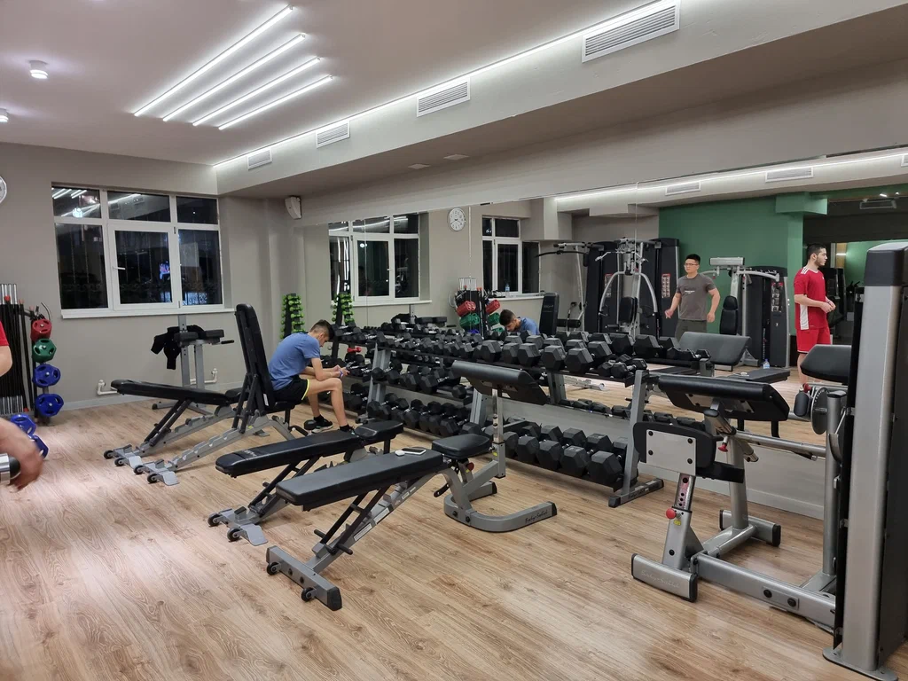 Fitnes zal